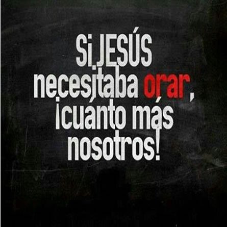 leticia250566's tweet photo. Un gran consejo de alguien que fue zarandeado :
PEDRO
👇
Sed SOBRIOS , y estad en continua vela; porque vuestro enemigo el diablo anda girando como león rugiente alrededor de vosotros, en busca de para que devorar.
RESISTIDLE  FIRMES en la FE.

1 PEDRO 5:8 https://t.co/IyzuqXVyxx
