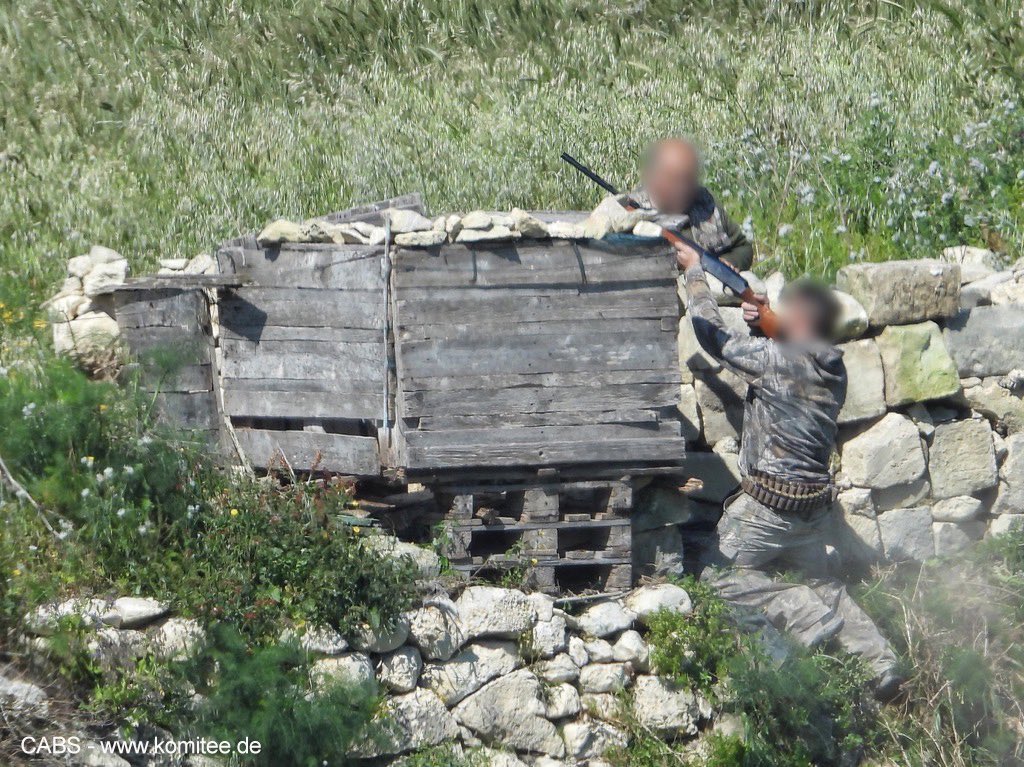 ⚠️ 🙏🕊️ Conclusion of the CABS spring anti-poaching operations in the Mediterranean. 

✅ 16 migratory bird protection camps.

✅ 7 countries.

✅ >80 volunteers.

✅ 84 poachers convicted. 

✅ 274 birds set free.

✅ Over 1000 traps seized.

More here 👉 instagram.com/p/CsqzvGOKGhs/