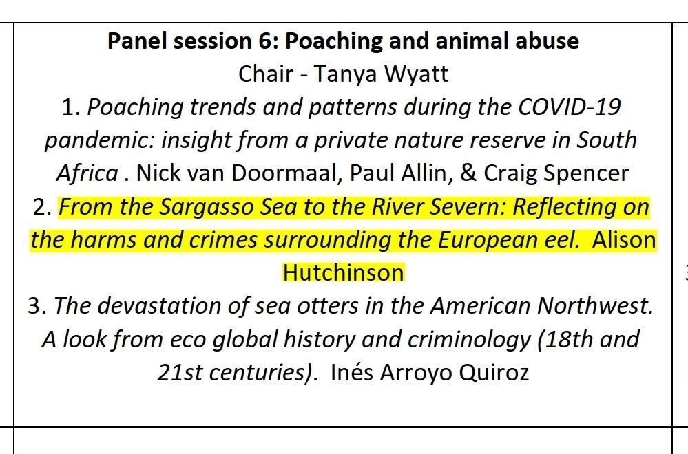 The #GreenCrimes & #Ecojustice Conference @UniUtrecht continues. Our colleague @DrAliHutchinson has just presented a paper using #photovoice to explore the #harms & #greencrimes affecting the #EuropeanEel. Read more 👇 beastlybusiness.org/2023/05/24/drs…