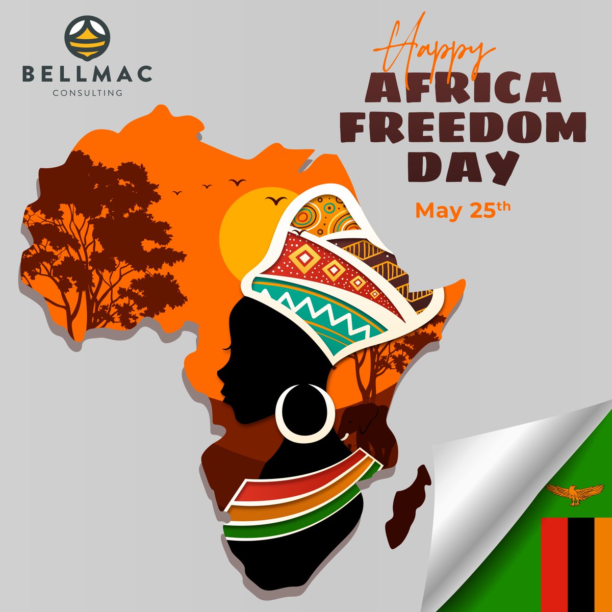 On Africa Freedom Day, we commemorate Zambia's journey to liberation and unity. Let us honor the brave individuals who fought for our independence and embrace the spirit of progress.  🇿🇲✨ #AfricaFreedomDay #ZambiaProud #africaday2023 #zambia #africa