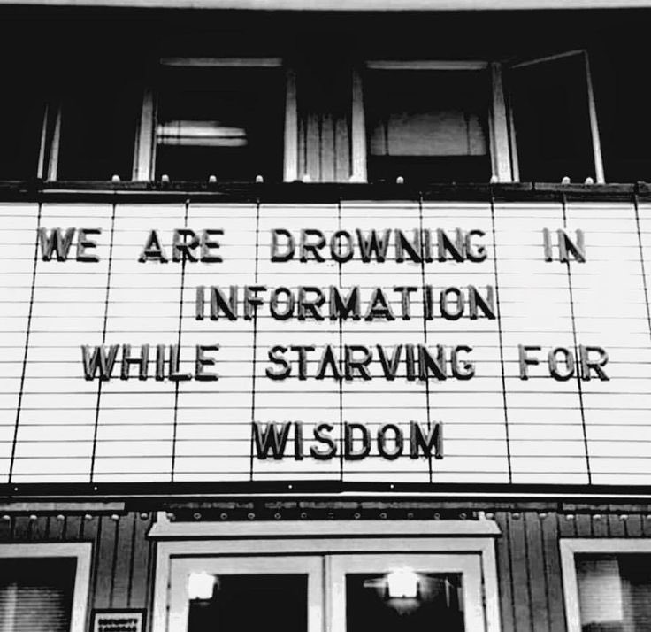 The Intellectualist On Twitter We Are Drowning In Information While Starving For Wisdom