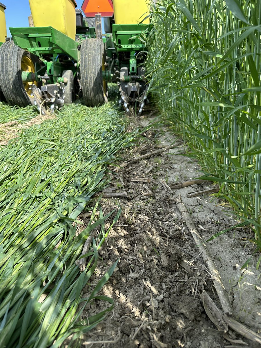 Alex Lawton tweet media