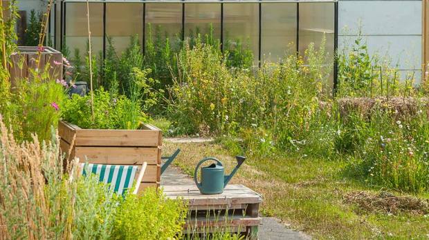 C'est la journée du #compost ! 
Déchets de cuisine, de jardin et de maison... découvrez comment utiliser vos déchets organiques 👉agirpourlatransition.ademe.fr/particuliers/m…