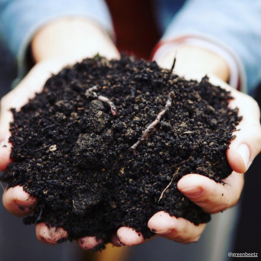WildlifeHCanada's tweet photo. Today is Learn About Composting Day! You can do your part to conserve natural resources and reduce your carbon footprint while saving energy, fuel, water, and money!
Click https://t.co/CDd8ihXKFk to learn more!
#learnaboutcompostingday #compostingday #compostday #ecofriendly https://t.co/cDcSe2aKIS