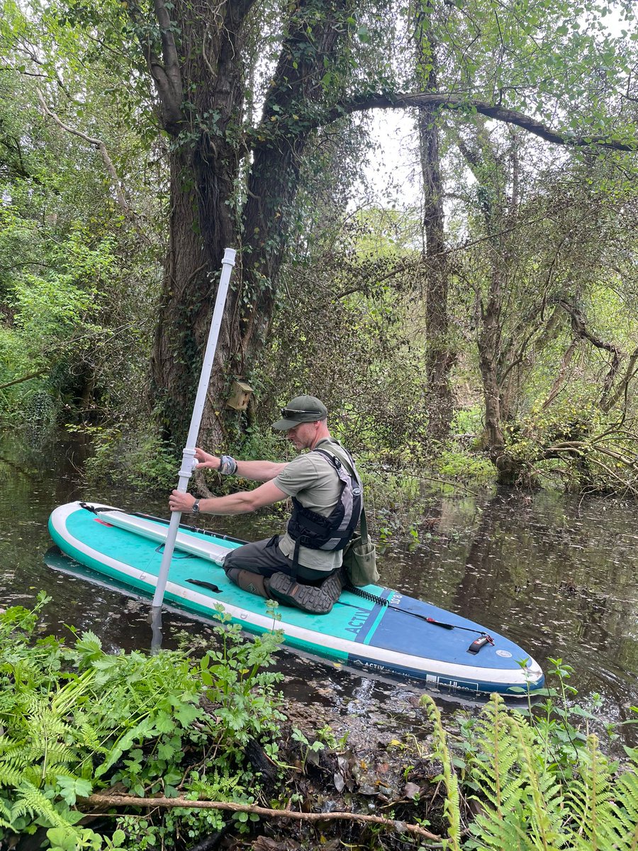 One of those SUPing around a beaver pond collecting sediment samples days.