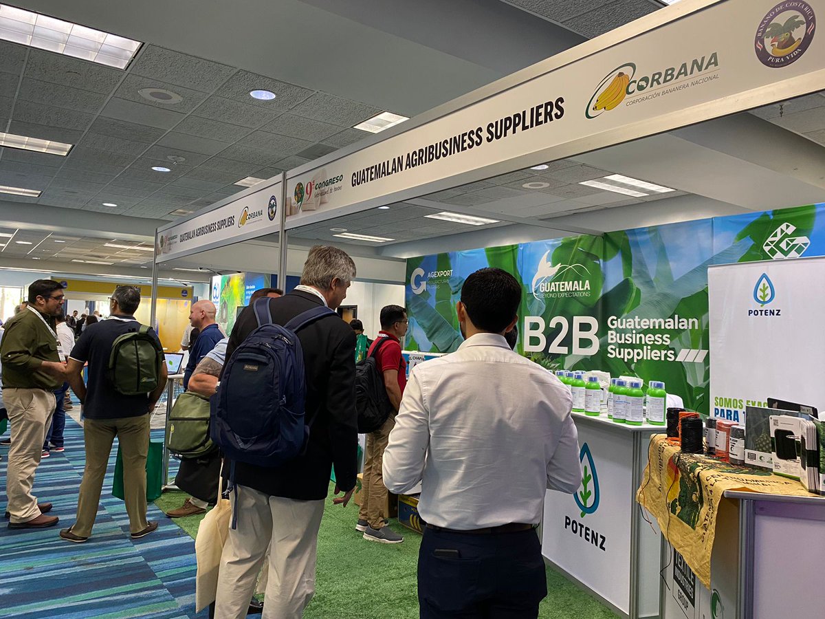 NotiAgexport's tweet image. En estos momentos 👉🇬🇹 #Guatemala presente en el 9° Congreso Internacional de Banano realizandose Miami Estados Unidos, con el pabellón Guatemalan Agribusiness Suppliers. Esto forma parte de la estrategia  para la generación de negocios de la Comisión de Manufacturas Diversas