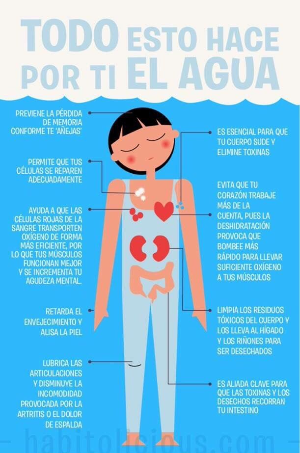 Nutrilap8's tweet photo. ¿Cuál es la importancia de la hidratación? 
-Nuestro cuerpo necesita estar hidratado para funcionar de forma óptima.
¿Cuáles son algunos de los beneficios de la hidratación? 

https://t.co/rDkyf9El52 https://t.co/E9miSsPKoF