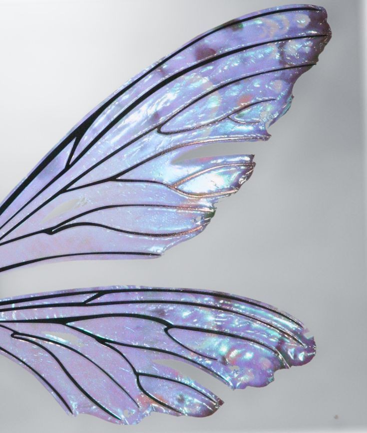 ࣪₊ 𐙚 tweet media