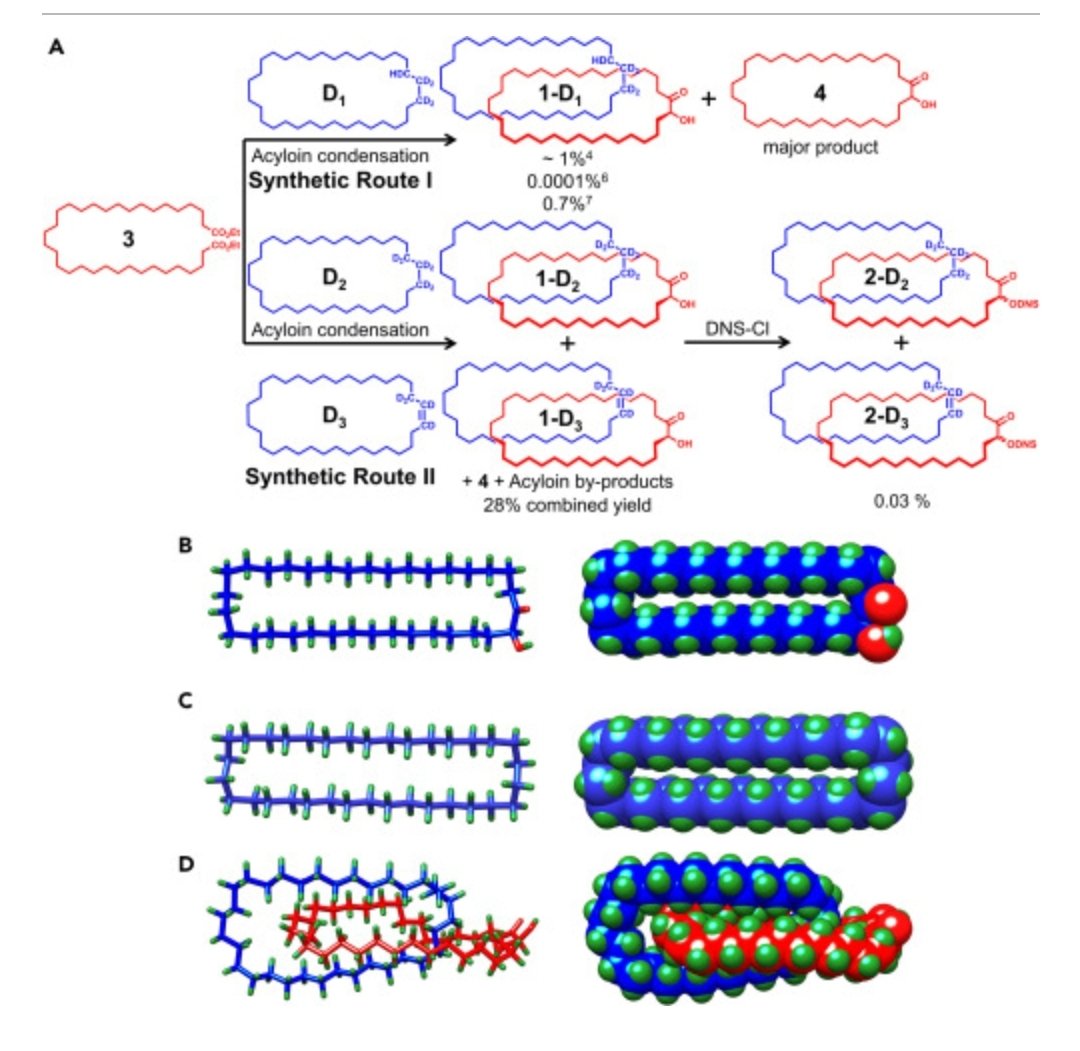 ali trabolsi (@trabolsiali) on Twitter photo Our contribution to the story of Wasserman's Catenane by <a href="/ProfDaveLeigh/">Dave Leigh</a> in <a href="/Chem_CP/">Chem</a> by our student Daniel Ahn, PhD student Nowshin, & <a href="/Thiru_prak/">Thirumurugan Prakasam</a> <a href="/NYUAD_Science/">NYUAD Science</a> <a href="/NYUAbuDhabi/">NYU Abu Dhabi</a> <a href="/NYUADResearch/">NYUAD Research</a> <a href="/NYUAD_WRC/">NYU Abu Dhabi Water Research Center</a> sciencedirect.com/science/articl… Our contribution to the story of Wasserman's Catenane by <a href="/ProfDaveLeigh/">Dave Leigh</a> in <a href="/Chem_CP/">Chem</a> by our student Daniel Ahn, PhD student Nowshin, & <a href="/Thiru_prak/">Thirumurugan Prakasam</a> <a href="/NYUAD_Science/">NYUAD Science</a> <a href="/NYUAbuDhabi/">NYU Abu Dhabi</a> <a href="/NYUADResearch/">NYUAD Research</a> <a href="/NYUAD_WRC/">NYU Abu Dhabi Water Research Center</a> sciencedirect.com/science/articl…