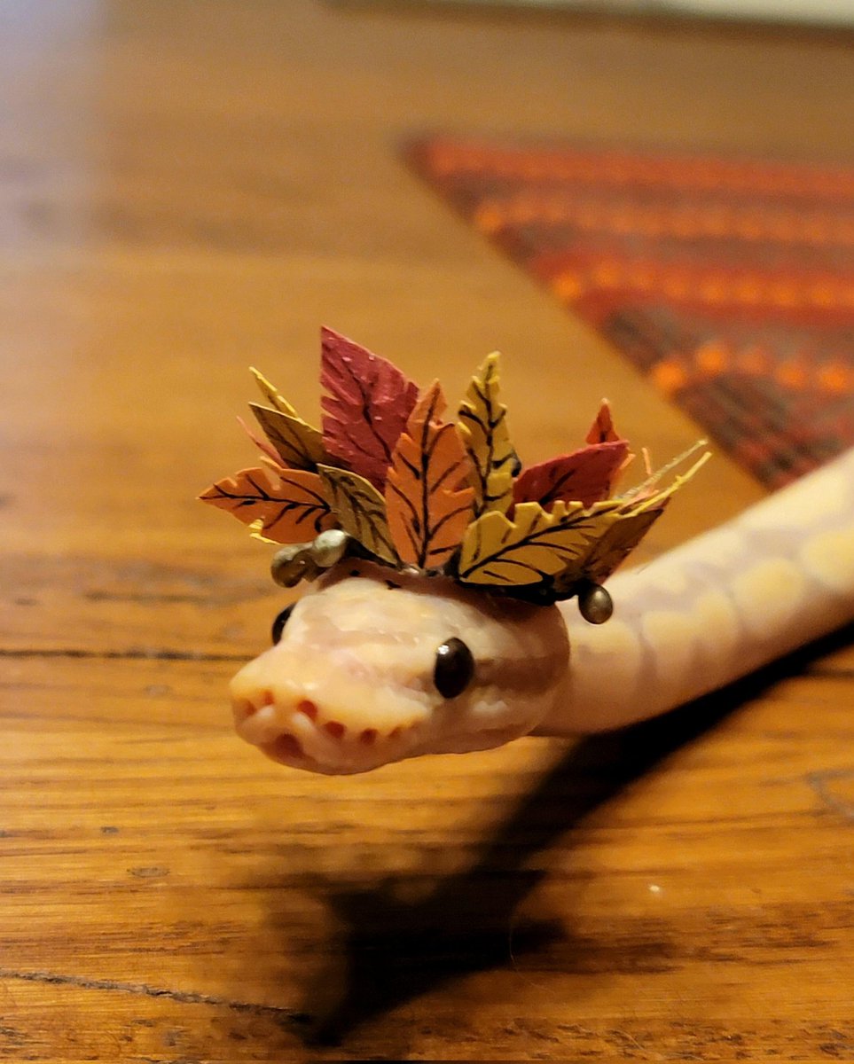 Vernon682's tweet photo. @hankgreen I don't really have anything truly new to say, other than become the only thing lymphoma fears, so have a snek with a crown of leaves https://t.co/xcImbUWCoZ