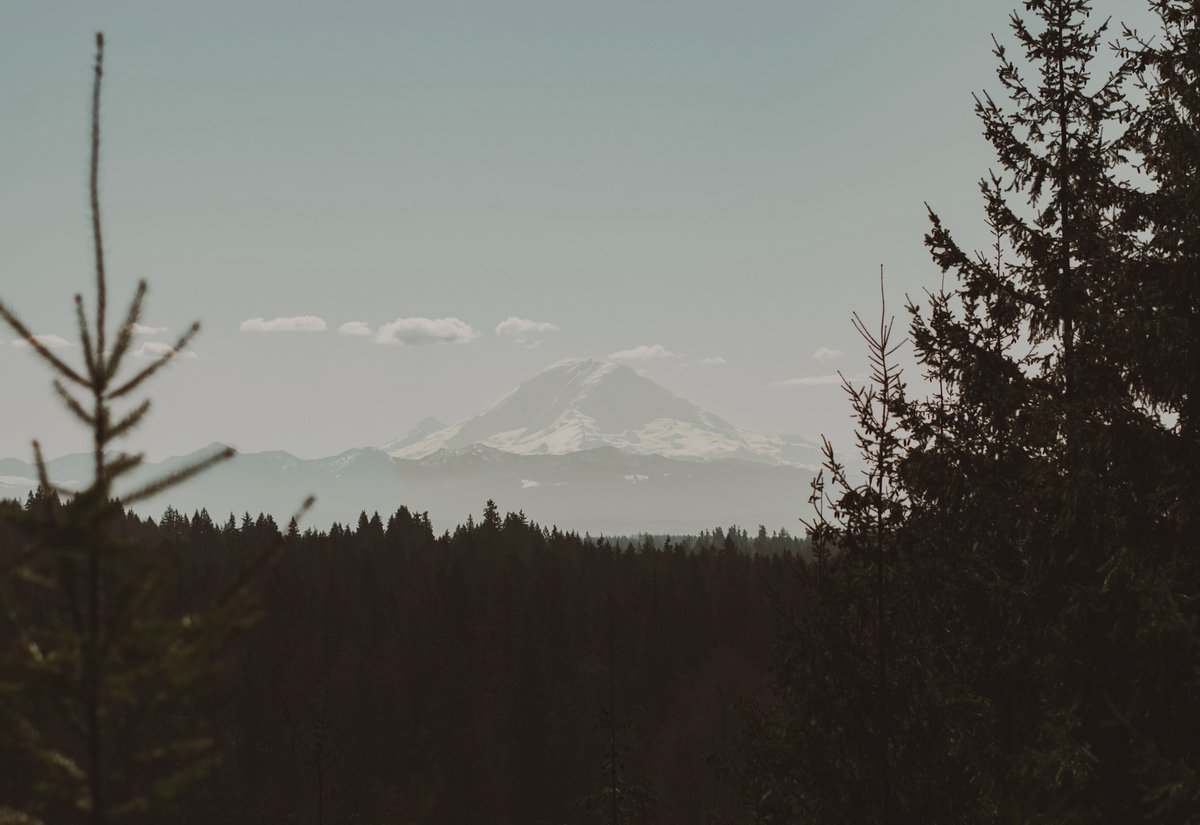 GreenRiverCC's tweet image. Can't get over this view😍 #greenrivercollege #washington #pnw #gogators