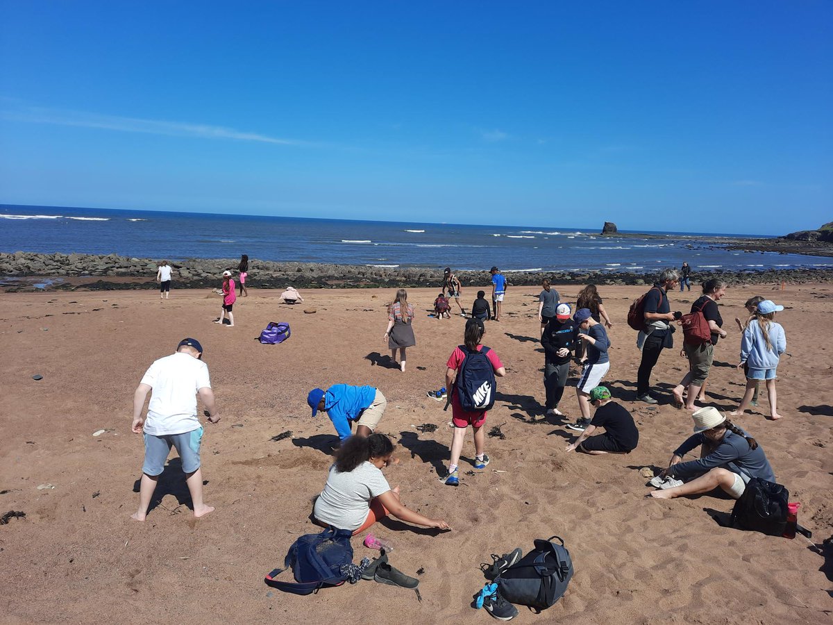 TempleLearningAcademy tweet media