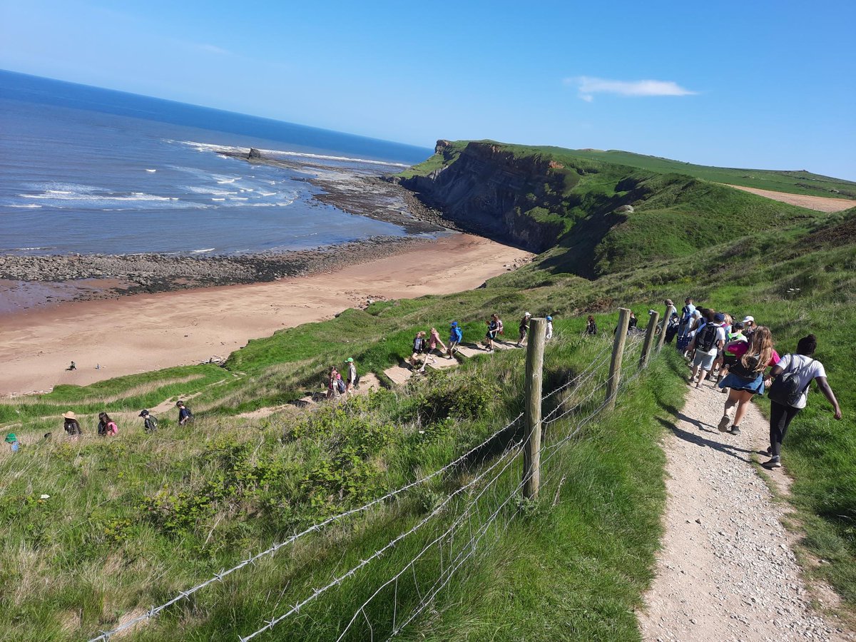 TempleLearningAcademy tweet media