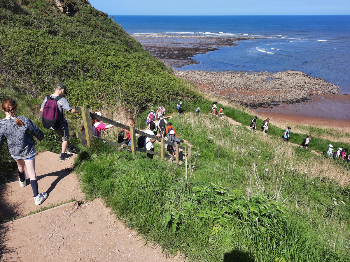 TempleLearningAcademy tweet media