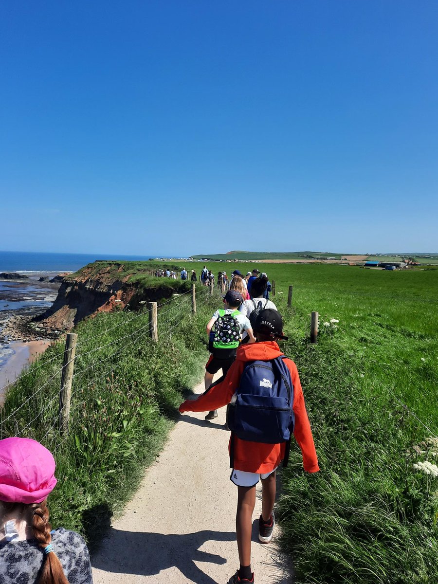 TempleLearningAcademy tweet media