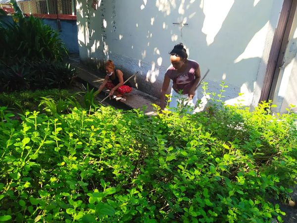 epjdluz's tweet photo. Se desarrollaron ejercicios teóricos y prácticos como parte del Ejercicio Meteoro 2023.  #Ladefensacivilenaccion #CubaMined #educacióncontramaestre #Contramaestre #MejorEsPosible #MejorEsPosibleStgo @LeticiaCalvo @dpestgo @FundichelyRosa @DraMaricelDME
@EsterisFrancis https://t.co/LN1VNW5LDM