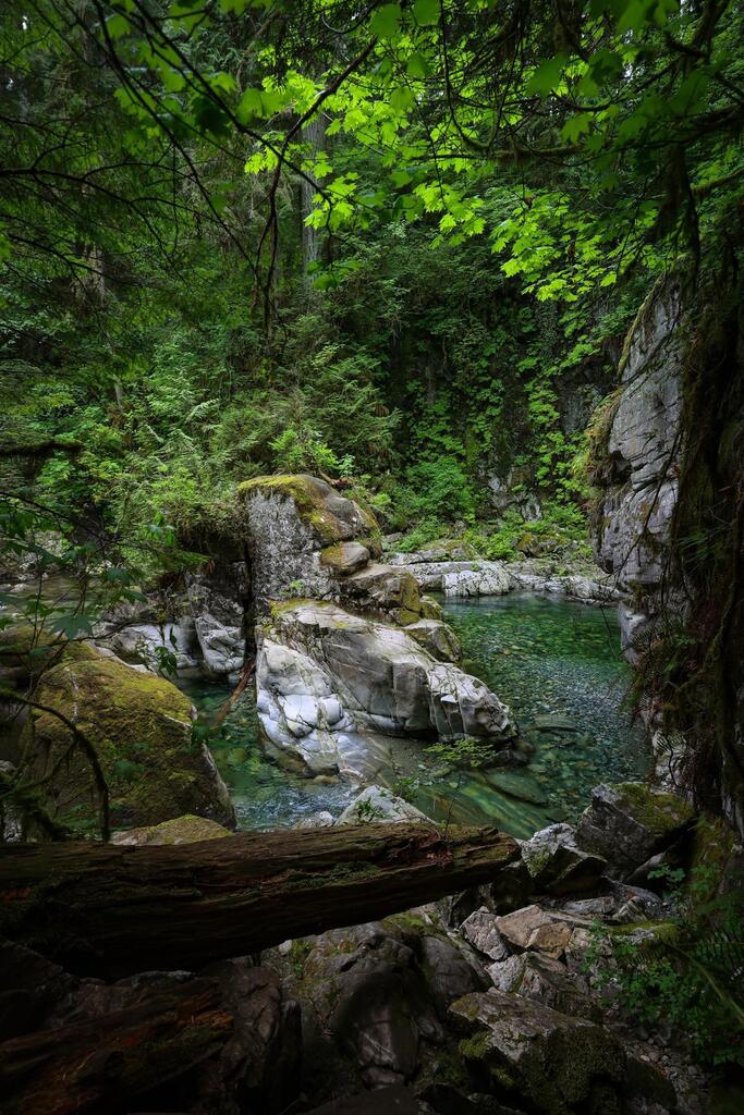 Hidden pools along Lynn Creek, Vancouver BC [OC][2000x1334] #nature