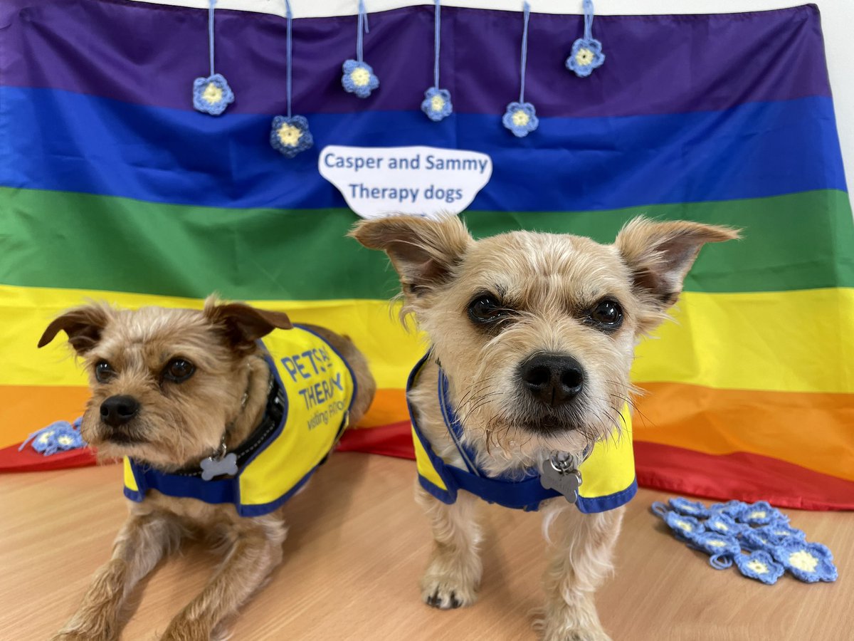 Jo Mountfield (@jo_mountfield) on Twitter photo Casper and Sammy - Victoria Court’s amazing therapy pups! So gentle and patient with everyone. On location today for NHS at 75 photoshoot! 😍 <a href="/GraingeKate/">Kate Grainge</a> <a href="/HPFT_NHS/">Hertfordshire Partnership University NHS FT (HPFT)</a> <a href="/kayflynn63/">kay</a> <a href="/NaomiCampbell34/">Naomi Campbell</a> <a href="/l_Talia_l/">Talia</a> Casper and Sammy - Victoria Court’s amazing therapy pups! So gentle and patient with everyone. On location today for NHS at 75 photoshoot! 😍 <a href="/GraingeKate/">Kate Grainge</a> <a href="/HPFT_NHS/">Hertfordshire Partnership University NHS FT (HPFT)</a> <a href="/kayflynn63/">kay</a> <a href="/NaomiCampbell34/">Naomi Campbell</a> <a href="/l_Talia_l/">Talia</a>