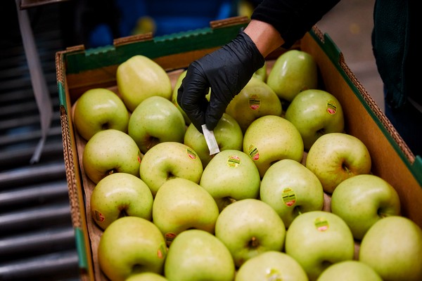 FreshPlaza tweet media