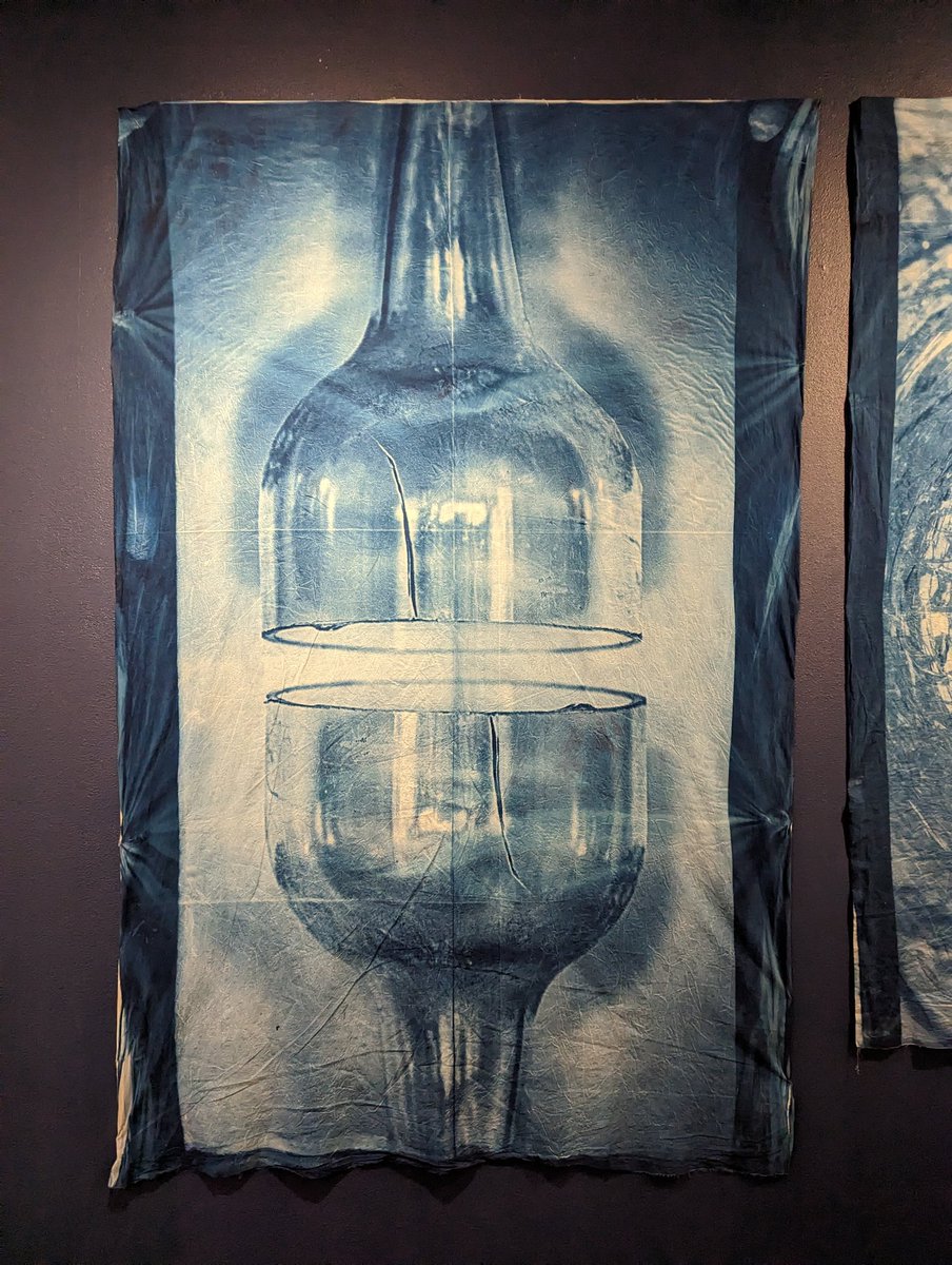 Elizabeth Ransom tweet media