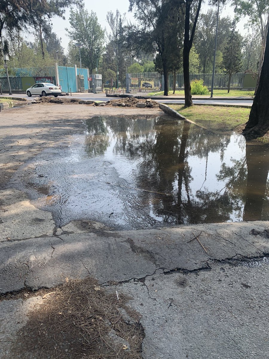 angelicagalva17's tweet photo. Fuga de agua frente a la puerta 9 del bosque de Aragón y el Cecyt 10. @SacmexCDMX https://t.co/lNeJRPgreJ