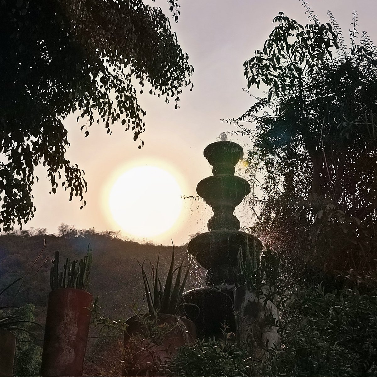 Días muy calurosos 🥵🍻