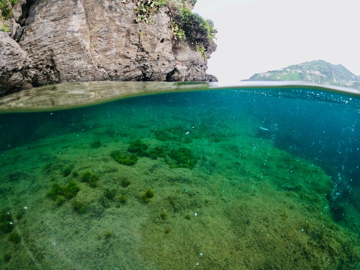 Jerem_Carlot's tweet photo. What a blast to be back in Ischia, Italy 🇮🇹 for some field work. Three weeks have already passed and we are drowning in really interesting data about #OceanAcidification, #NaturalAnalogs and #EcologicalProcesses 🌱🪸🐚 https://t.co/4rM6D2Vwzb