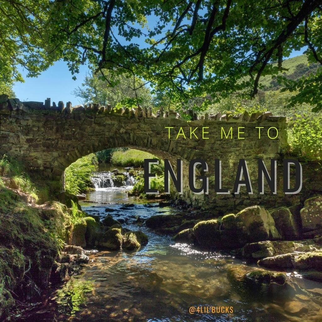 David & Sherry tweet media