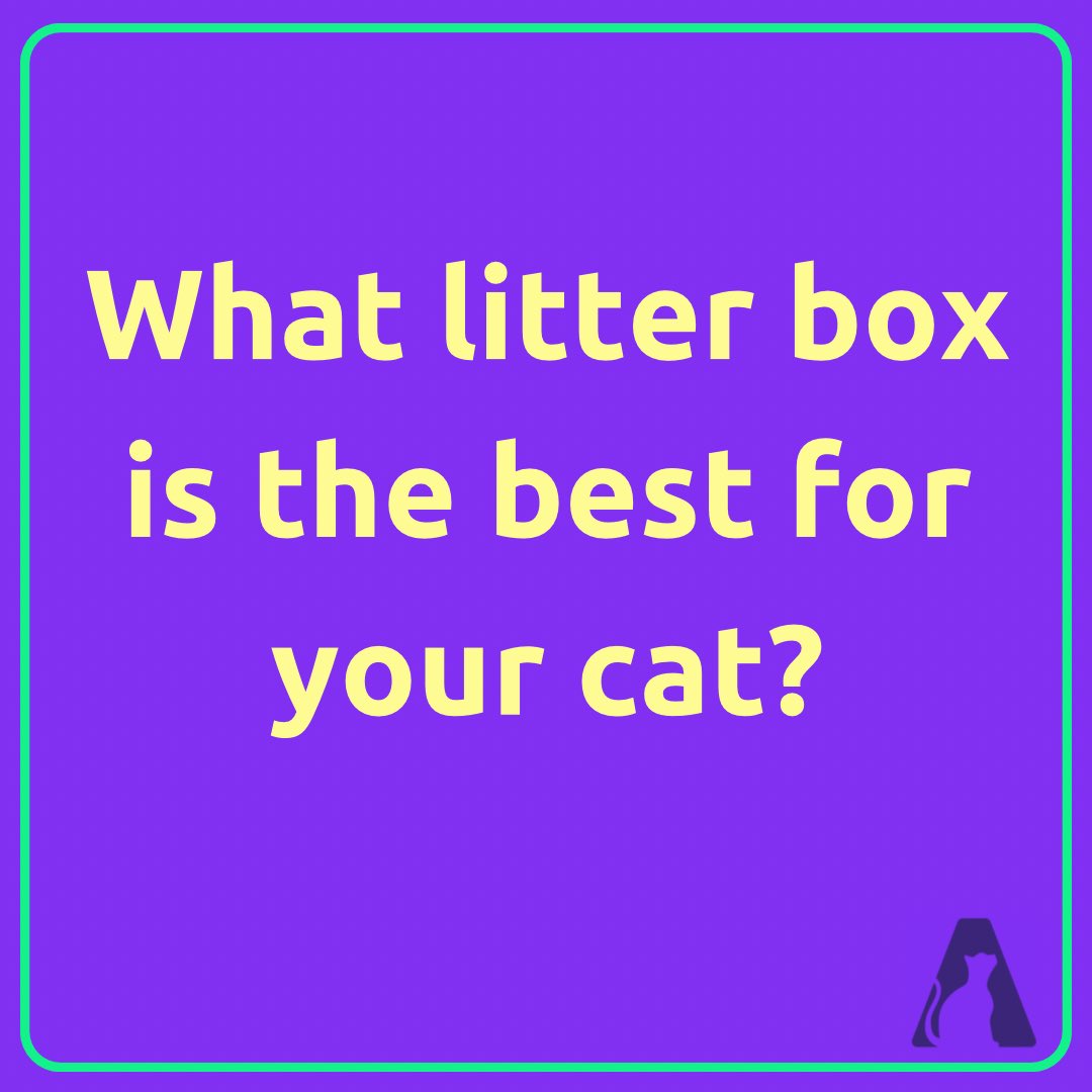 _catsavant's tweet photo. The #litterbox is the command zone of the home! If your #cat doesn’t like it, #houstonwehaveaproblem
Here are some #SmartyTips to keep in mind!
Check out more tips here ⬇️
https://t.co/MdNrEtne54
#CatsOfTwitter #CatsAreFamily #CatsofTwittter https://t.co/RWDkqyLQWI