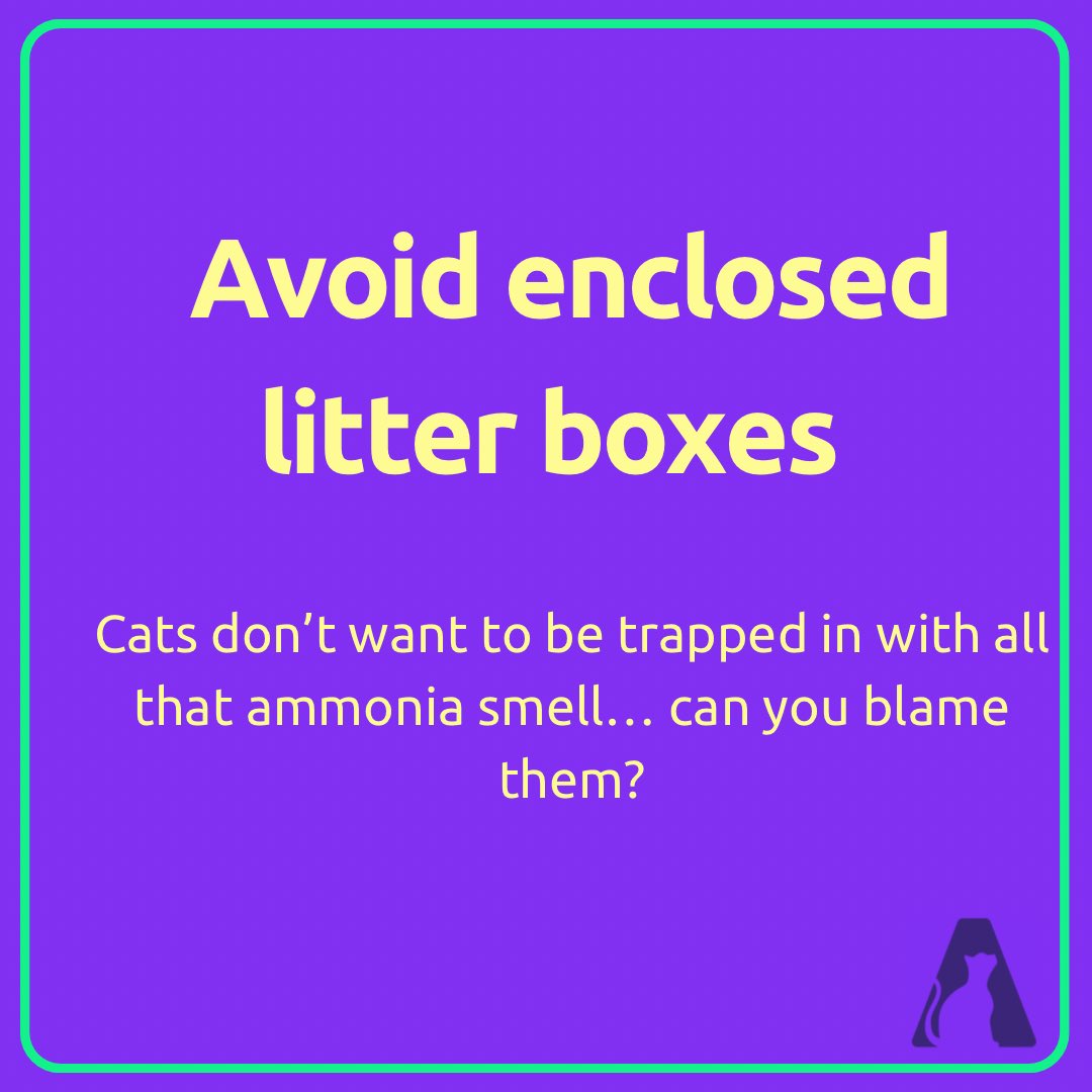 _catsavant's tweet photo. The #litterbox is the command zone of the home! If your #cat doesn’t like it, #houstonwehaveaproblem
Here are some #SmartyTips to keep in mind!
Check out more tips here ⬇️
https://t.co/MdNrEtne54
#CatsOfTwitter #CatsAreFamily #CatsofTwittter https://t.co/RWDkqyLQWI
