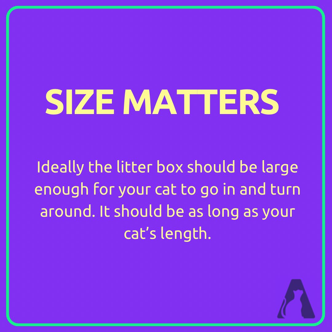 _catsavant's tweet photo. The #litterbox is the command zone of the home! If your #cat doesn’t like it, #houstonwehaveaproblem
Here are some #SmartyTips to keep in mind!
Check out more tips here ⬇️
https://t.co/MdNrEtne54
#CatsOfTwitter #CatsAreFamily #CatsofTwittter https://t.co/RWDkqyLQWI