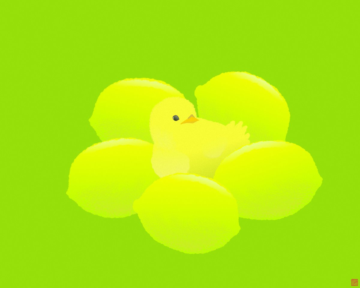 lemon

#illustration #affinitydesigner #イラスト
#レモン #ひよこ