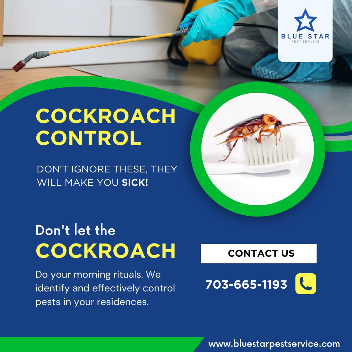 'Eliminate Cockroach Menace: Prioritize Your Well-being and Maintain a Healthy Home Environment with Our Effective Control Services'

#pestcontrol #petservices #bluestarpest #manassas #termitecontrol #rodentcontrol #manassascity #help