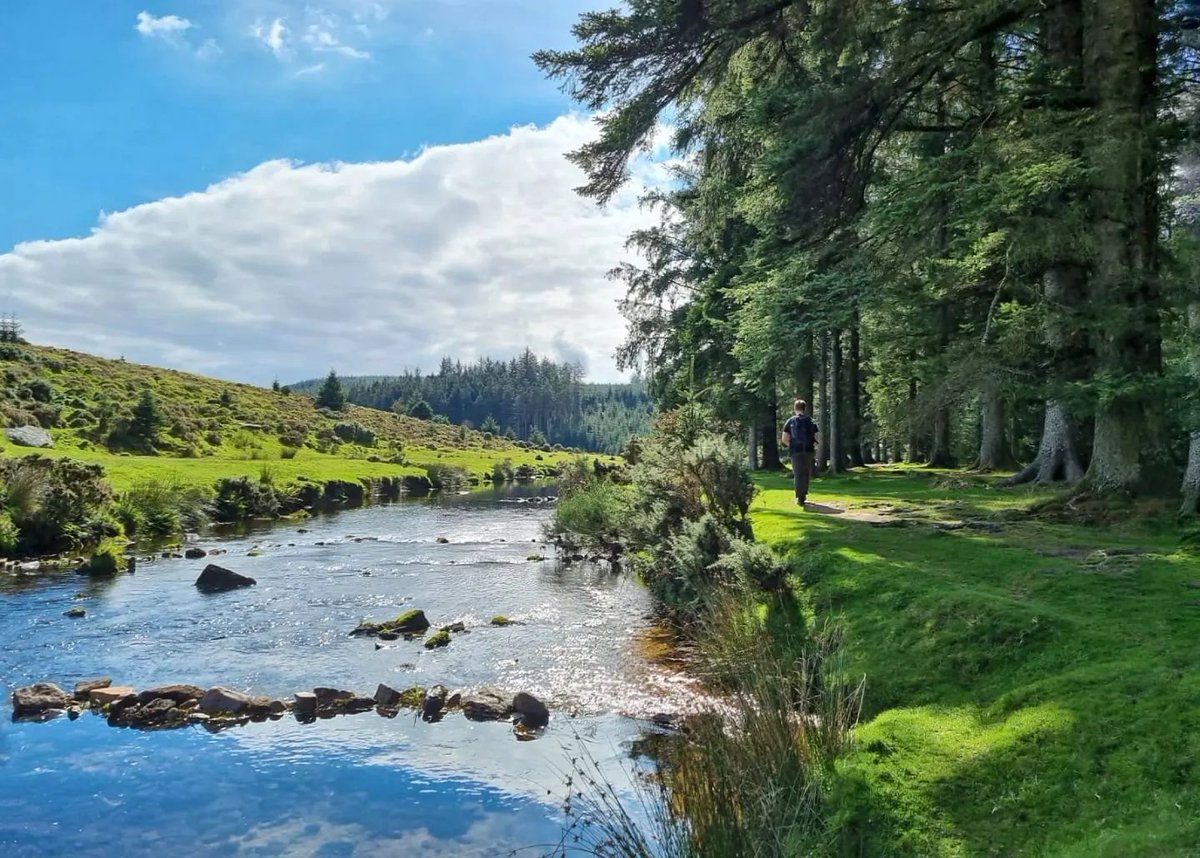 The beautiful Bellever Forest in the heart of Dartmoor 💚

📍 Bellever Forest
📸 instagram.com/wild_chefs_dev…