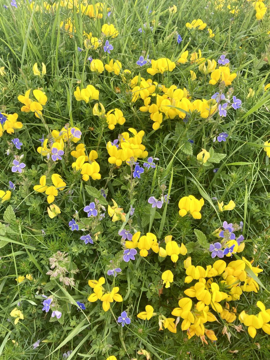 Twig & Heather tweet media