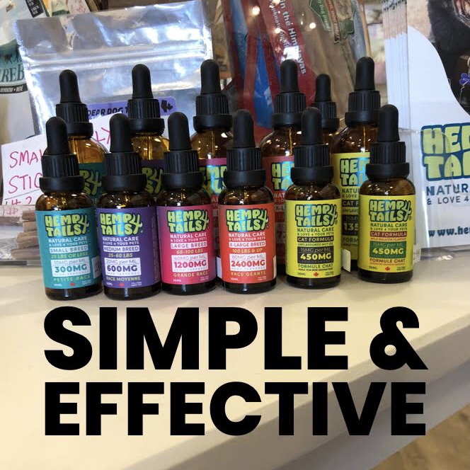 sageplusrx's tweet photo. Did you know that hemp is a simple way to keep your aging pets doing the stuff they love most.,,,PLAY! 🐷🥰🐶🐱 #sageplus #ilovemydogs #agingpets #ilovemycats https://t.co/MIbh8UxnFA