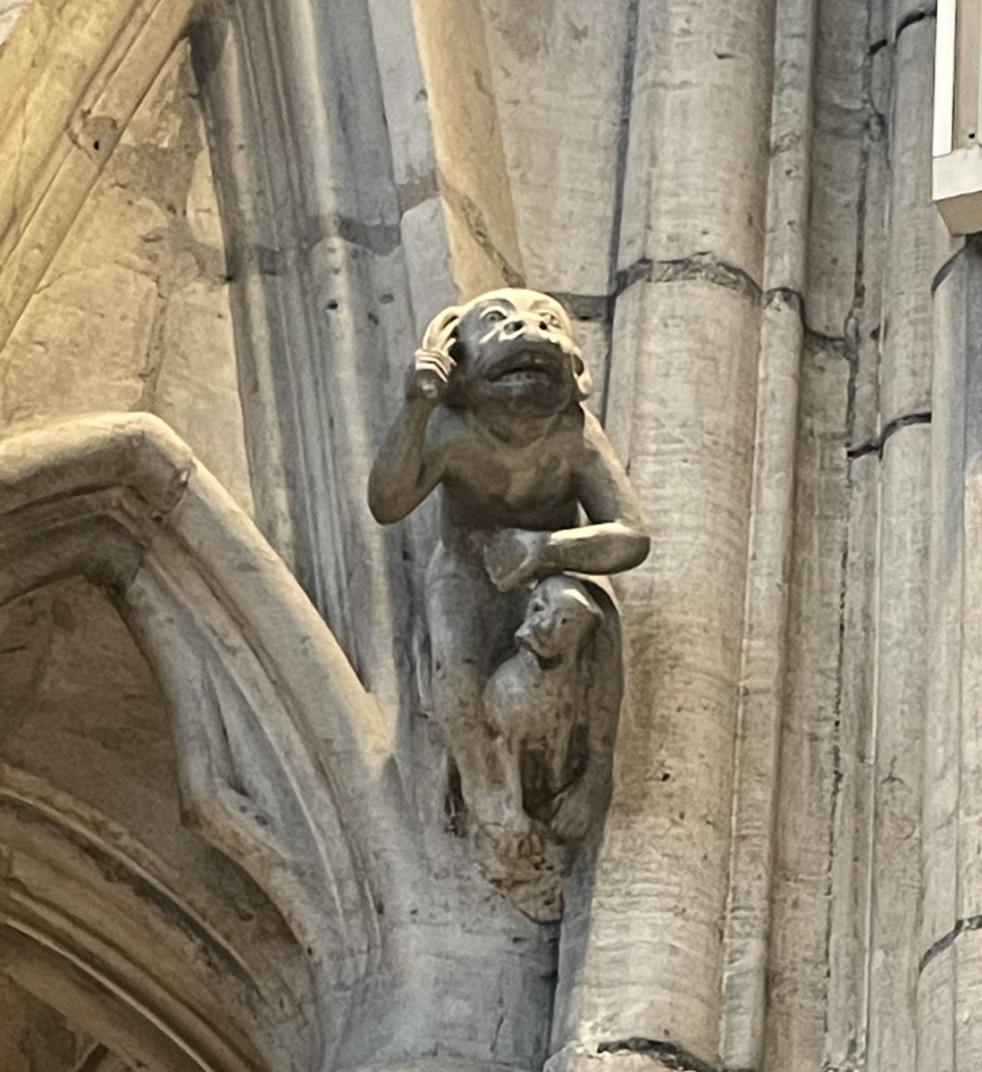 ‘Corbel head-tastic’ experience <a href="/York_Minster/">York Minster</a> today. These personal creative flourishes of 13th century stonemasons are my favourite thing right now.