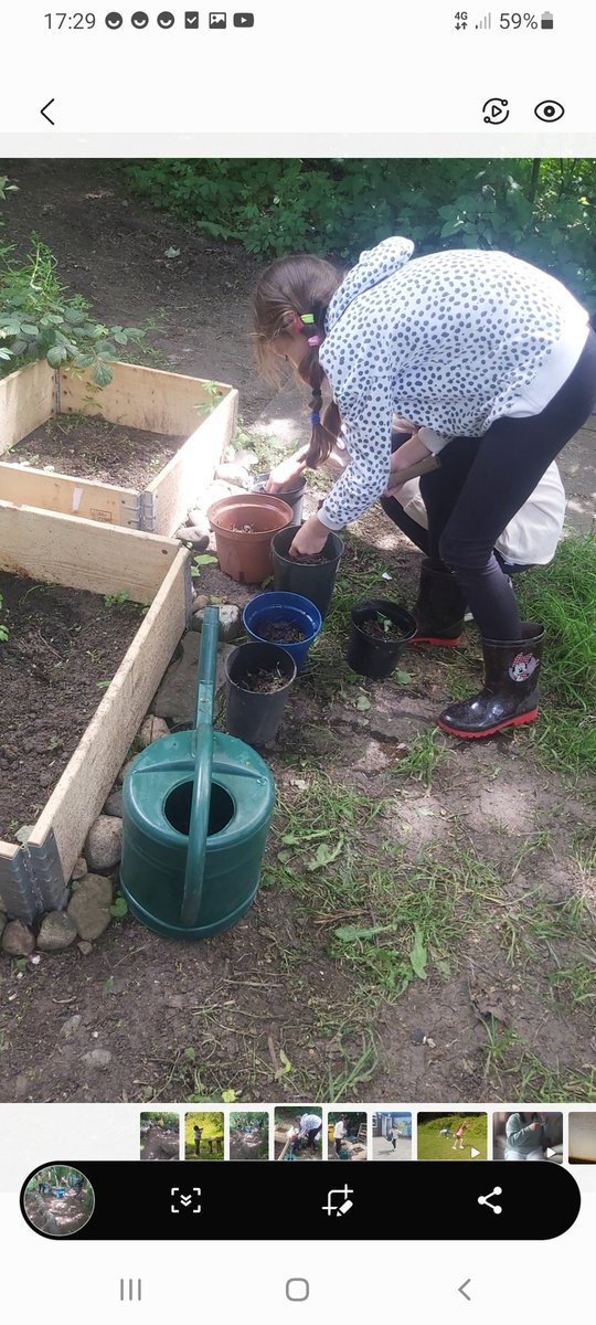 Forestschoolmvps tweet media