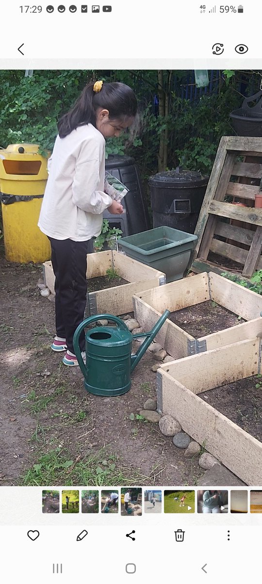 Forestschoolmvps tweet media