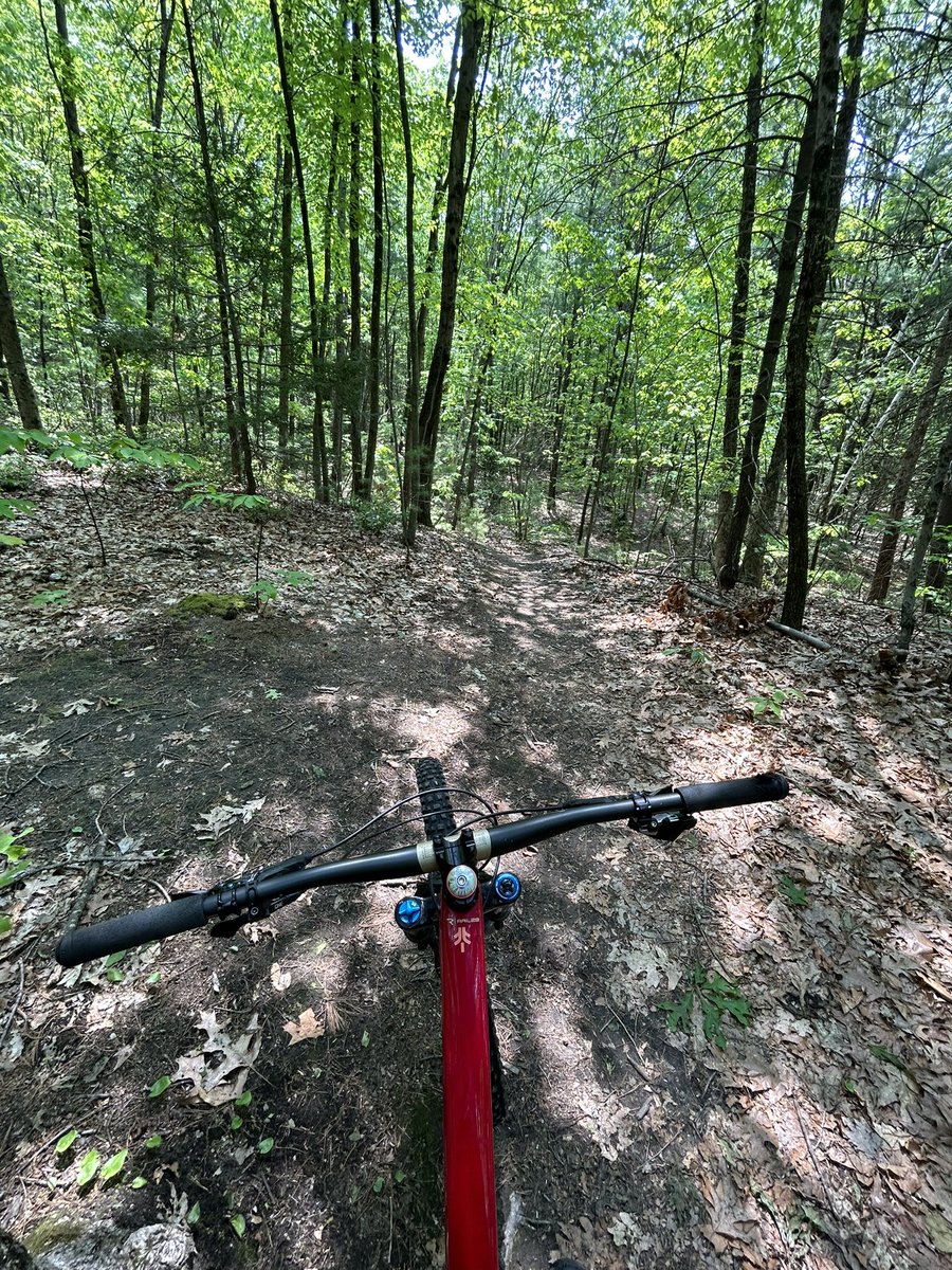 The Out of Collective tweet media