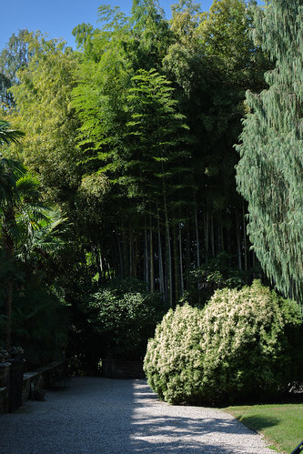 Jardines de Isola Madre : Lago Maggiore