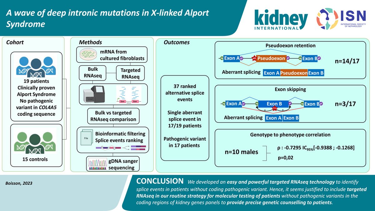 Kidney_Int's tweet photo. A wave of deep intronic mutations in #X-linked #Alport Syndrome
https://t.co/i4vXC7z4yY
@univ_paris_cite @Inserm @InstitutImagine @hopital_necker #COL4A5 #RNAseq #splicing https://t.co/uUo2Rg3QBW