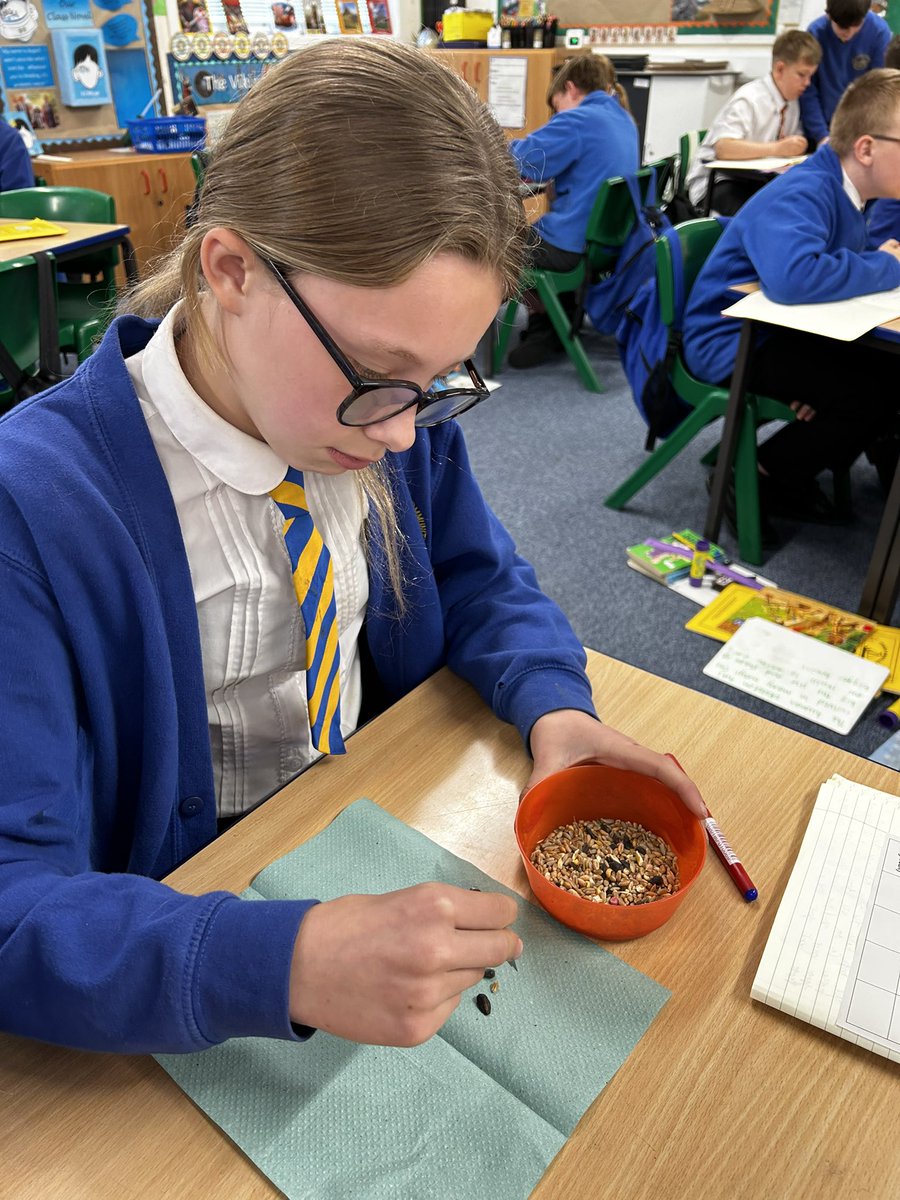 JamesBrindleyPS's tweet photo. 6W have carried out an investigation to find out how birds have evolved of time in Science this morning! 🦜🧔🏻♂️🧪 #charlesdarwin #thetheoryofevolution #ks2Science https://t.co/ZJTKyzgPoc