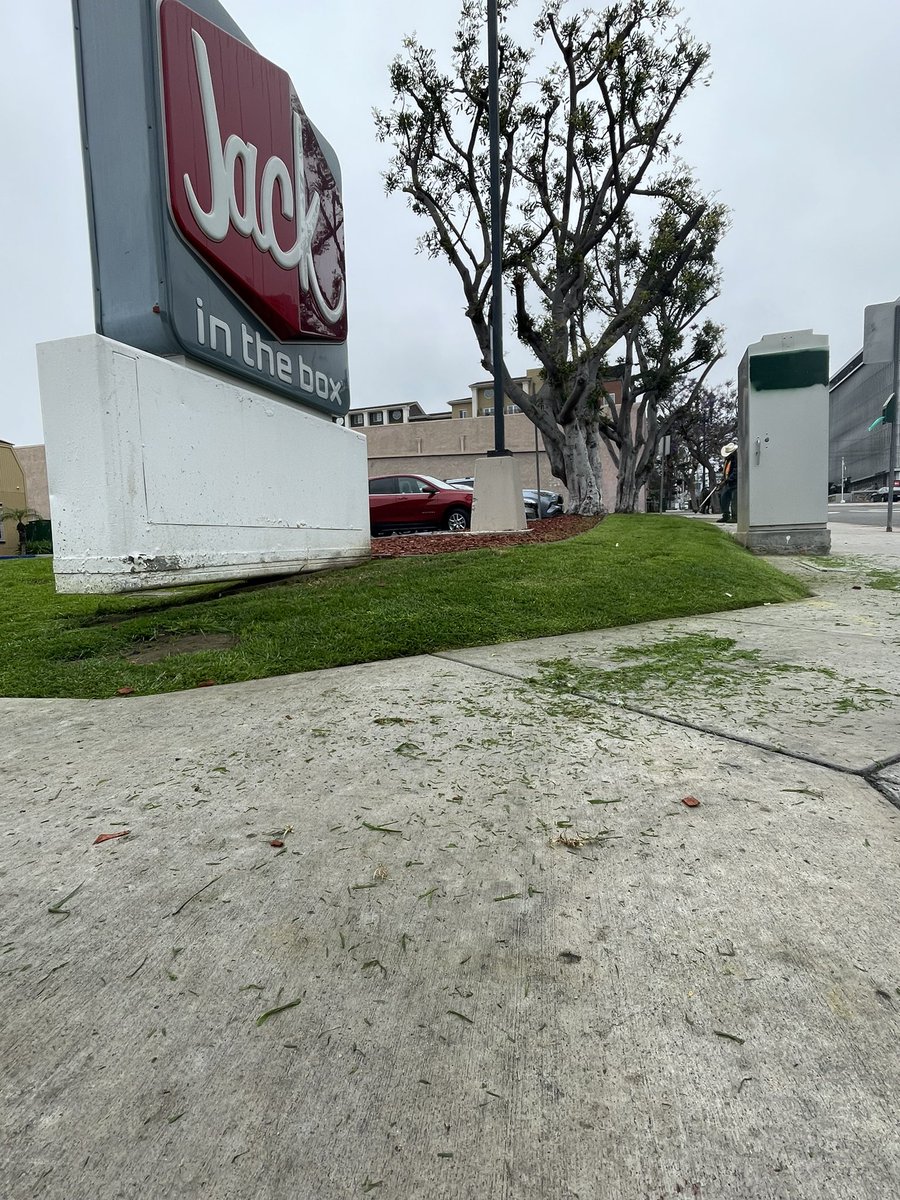 jamesecanning's tweet photo. Itโs not often in San Diego that I get the benefit of smelling freshly cut grass, but today I want to thank the hard working men at @JackBox near @LittleItalySD for giving me that midwestern pleasure. #freshgrass https://t.co/fbfxVrEAaA