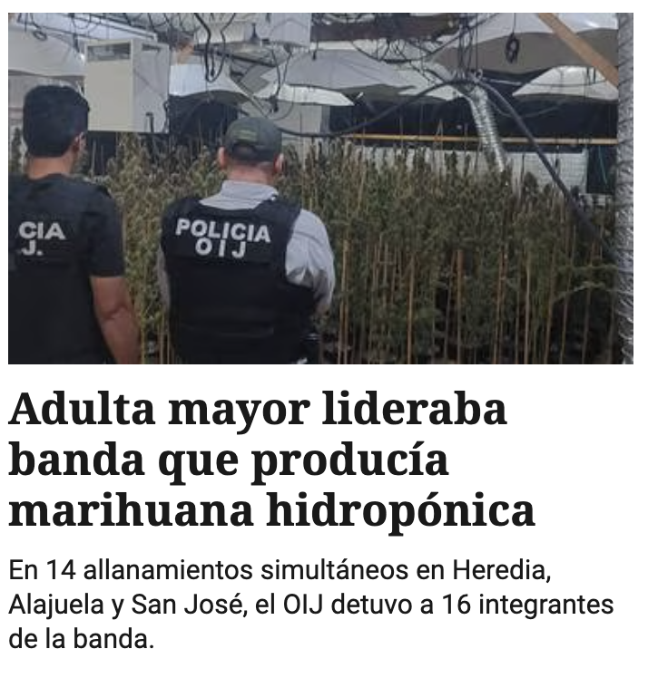 Una adulta mayor, micro-empresaria que promueve un emprendimiento agroindustrial con tecnologías innovadoras y que está generando empleos, debiera recibir un reconocimiento en lugar de ir a la cárcel. Urge legalizar las drogas para frenar el crimen narco.