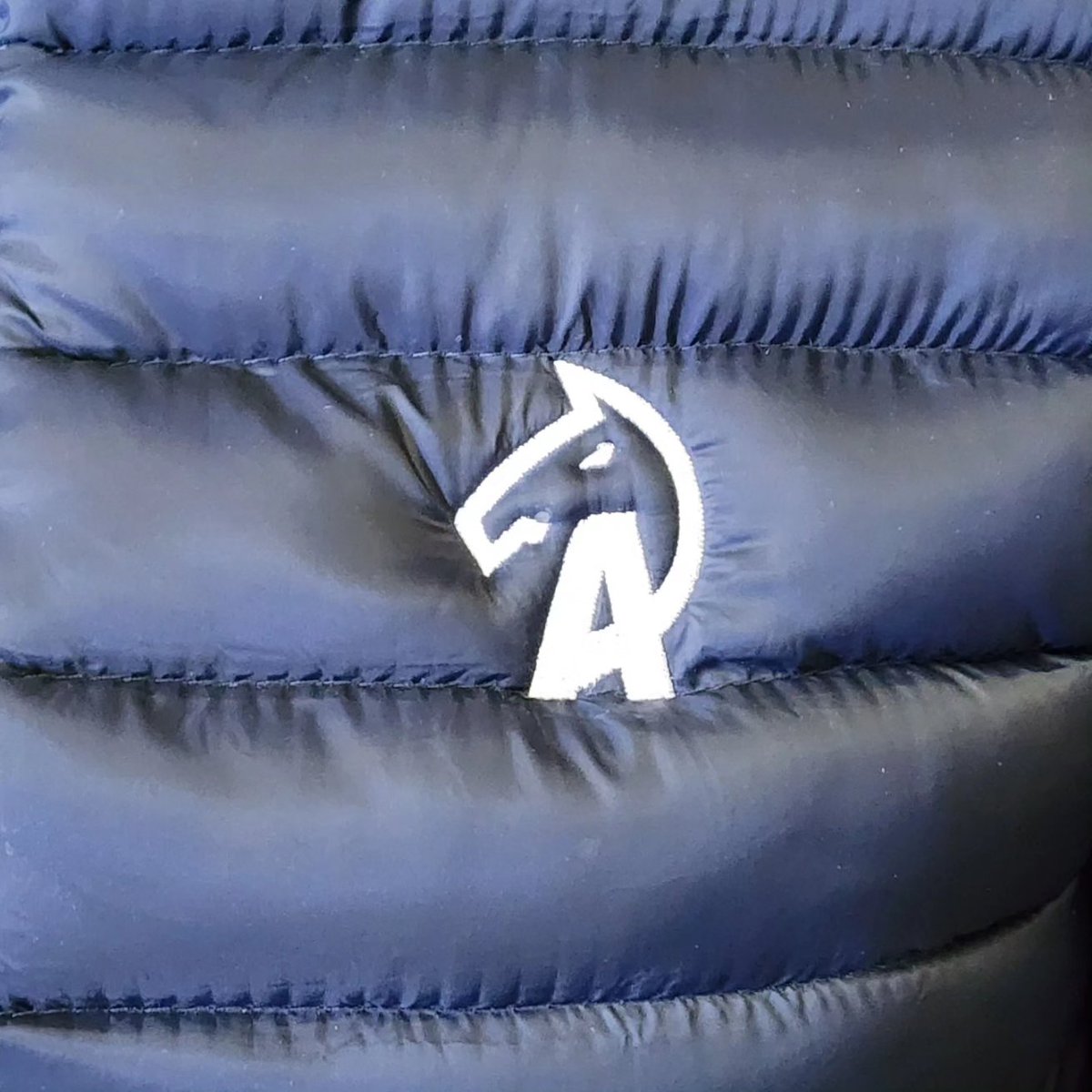 Alson Racing 🏇

#HorseRacingLovers