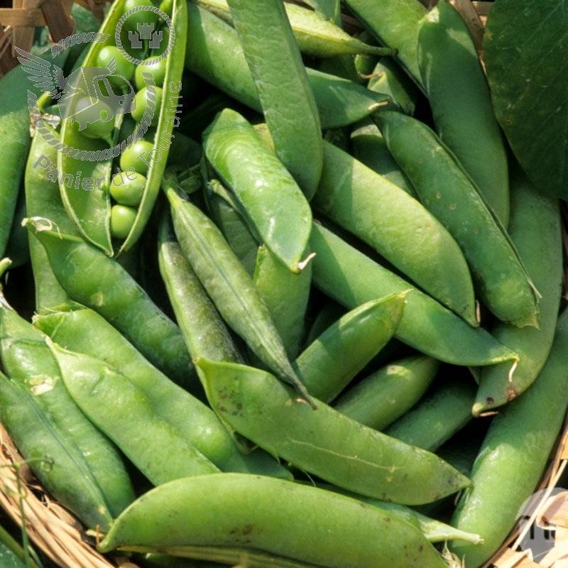 PanierTouraine's tweet photo. 😄 Il est temps de faire vos courses de produits locaux ! - https://t.co/IvljY6pUs5 https://t.co/SEVzgizLoa