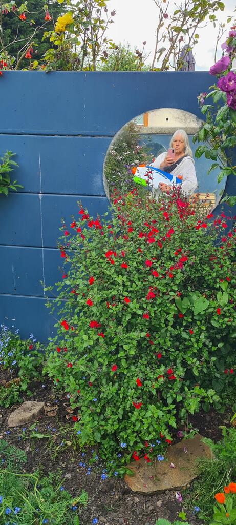 I am the pigeon scarer. Click here to signup for awesome gardening tips: bit.ly/2SfI4n0