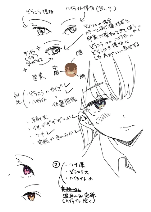 目について考える