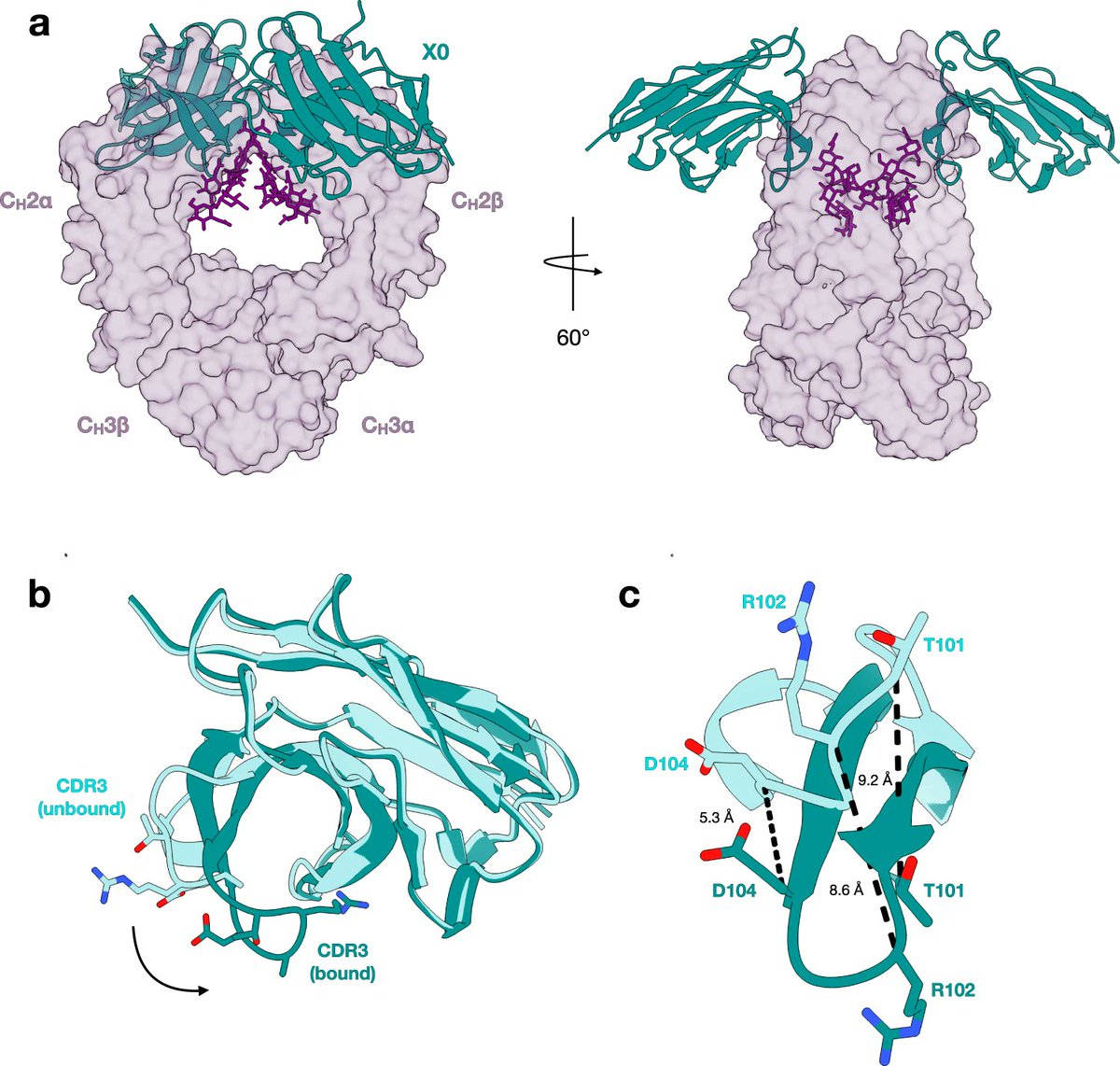 Delighted to see our trick for getting co-crystals with IgG Fc being put to good use! Checkout 'Mechanism of glycoform specificity and in vivo protection by an anti-afucosylated IgG nanobody' nature.com/articles/s4146… and our paper describing the trick: nature.com/articles/s4146…